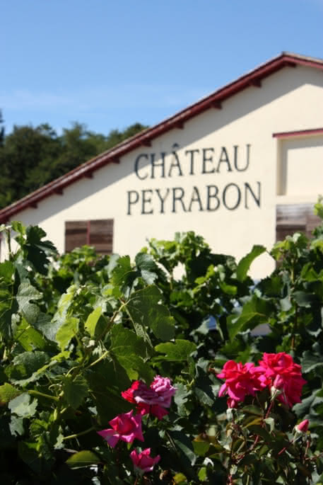Château Peyrabon 2